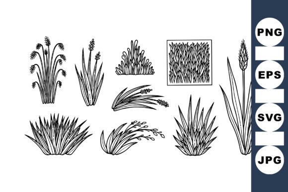 Download Hand Drawn Grass Vector Set - Vector Collection
